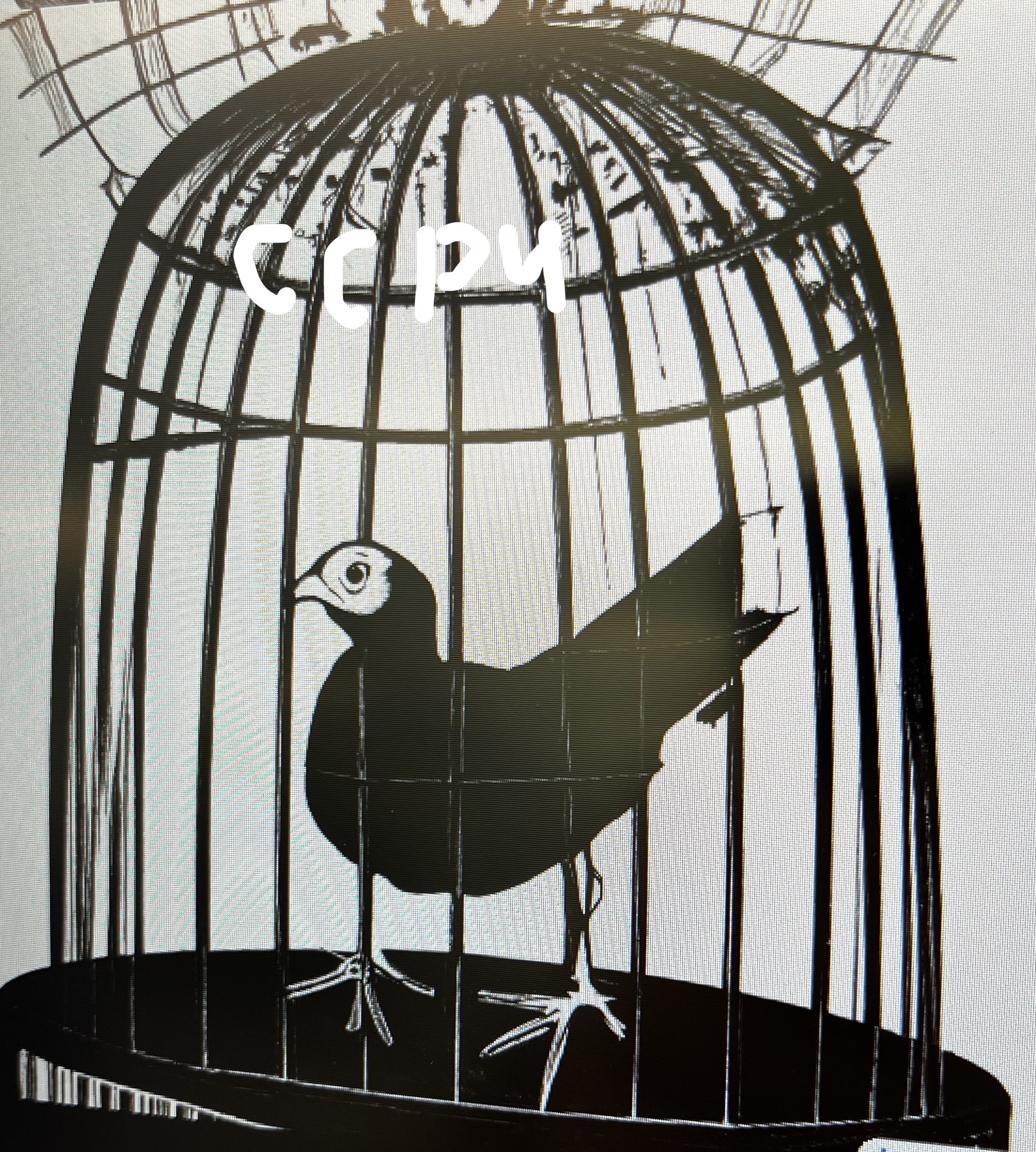 Coot in a Cage (as seen by CCP4)